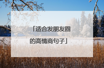 适合发朋友圈的高情商句子