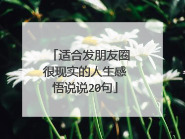 适合发朋友圈很现实的人生感悟说说20句