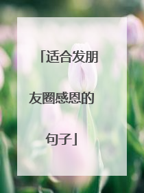 适合发朋友圈感恩的句子