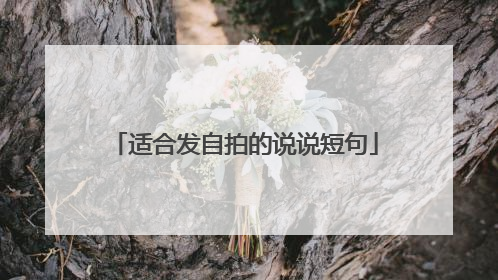 适合发自拍的说说短句