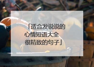 适合发说说的心情短语大全 很精致的句子
