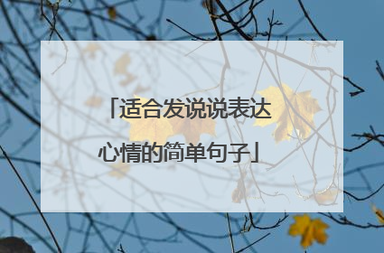 适合发说说表达心情的简单句子