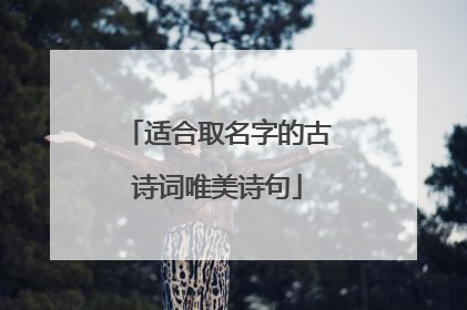 适合取名字的古诗词唯美诗句