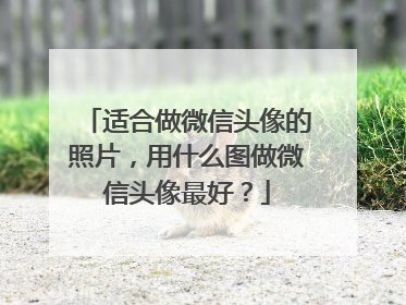 适合做微信头像的照片,用什么图做微信头像最好?