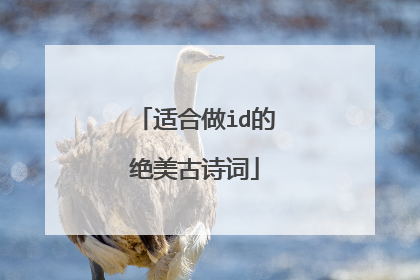 适合做id的绝美古诗词