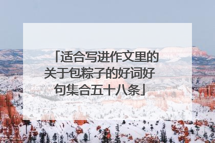 适合写进作文里的关于包粽子的好词好句集合五十八条