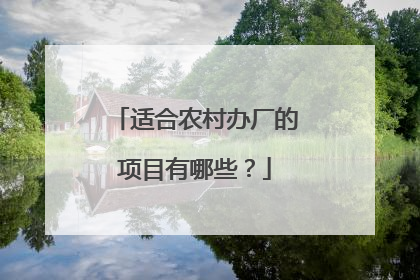 适合农村办厂的项目有哪些？