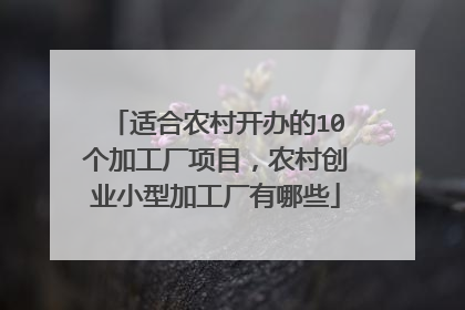 适合农村开办的10个加工厂项目,农村创业小型加工厂有哪些