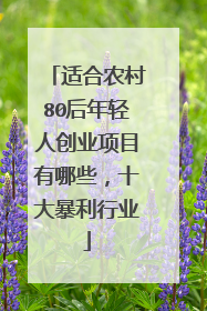 适合农村80后年轻人创业项目有哪些，十大暴利行业