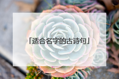 适合名字的古诗句