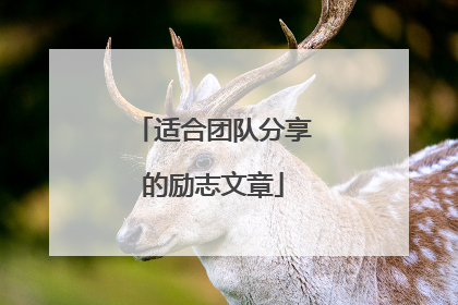 适合团队分享的励志文章