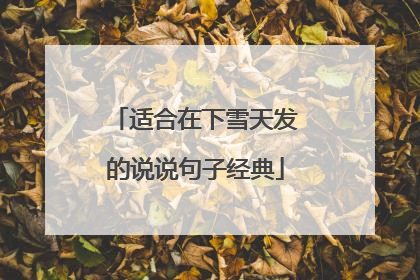 适合在下雪天发的说说句子经典