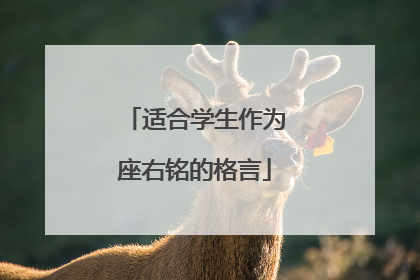 适合学生作为座右铭的格言