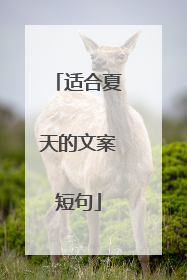适合夏天的文案短句