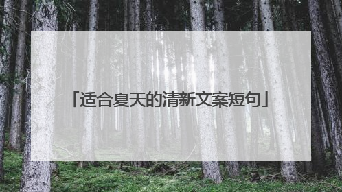 适合夏天的清新文案短句