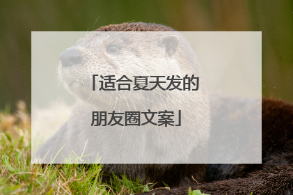 适合夏天发的朋友圈文案