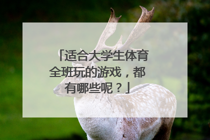 适合大学生体育全班玩的游戏,都有哪些呢?