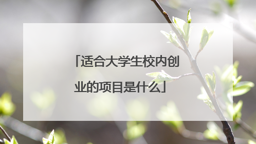 适合大学生校内创业的项目是什么