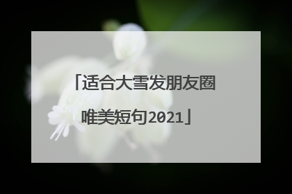 适合大雪发朋友圈唯美短句2021
