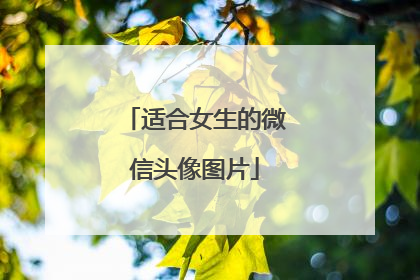 适合女生的微信头像图片