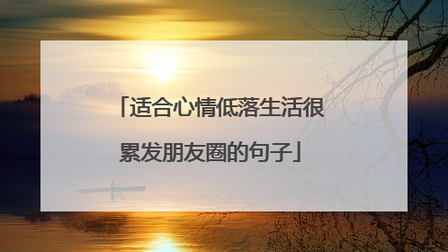 适合心情低落生活很累发朋友圈的句子