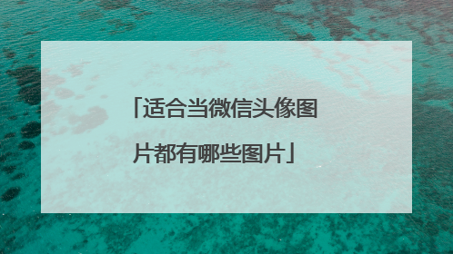 适合当微信头像图片都有哪些图片