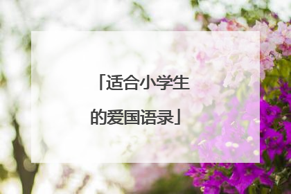 适合小学生的爱国语录