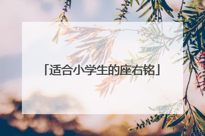 适合小学生的座右铭