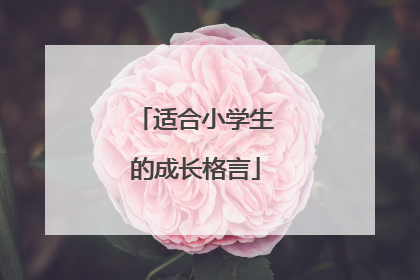 适合小学生的成长格言