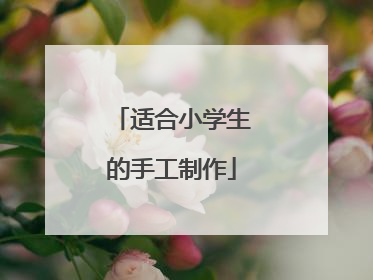 适合小学生的手工制作