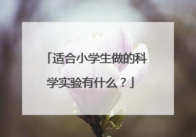 适合小学生做的科学实验有什么?