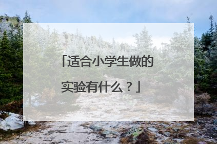 适合小学生做的实验有什么?