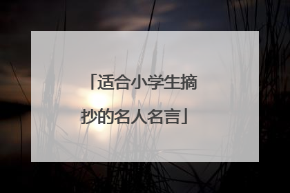 适合小学生摘抄的名人名言