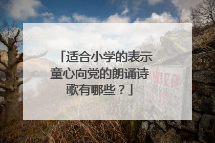 适合小学的表示童心向党的朗诵诗歌有哪些？