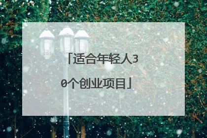 适合年轻人30个创业项目