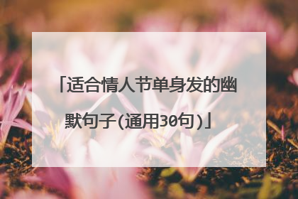 适合情人节单身发的幽默句子(通用30句)