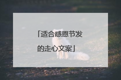 适合感恩节发的走心文案
