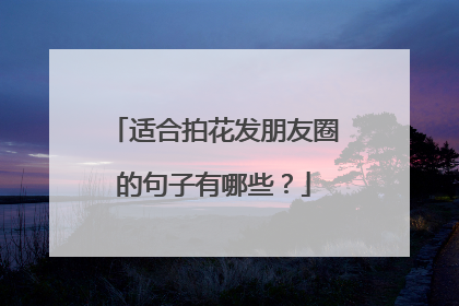 适合拍花发朋友圈的句子有哪些?