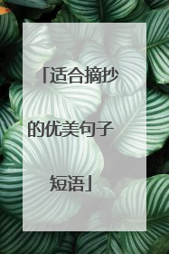 适合摘抄的优美句子短语