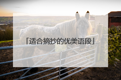 适合摘抄的优美语段