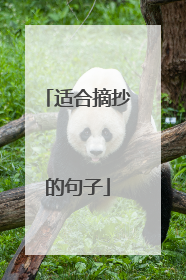 适合摘抄的句子