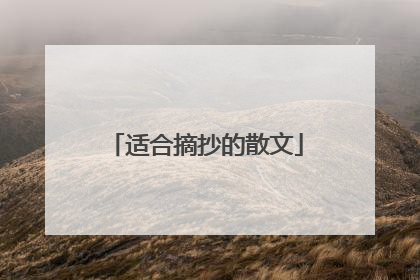 适合摘抄的散文