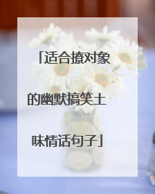 适合撩对象的幽默搞笑土味情话句子