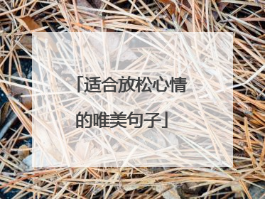适合放松心情的唯美句子