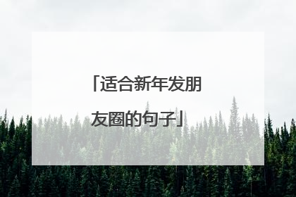 适合新年发朋友圈的句子
