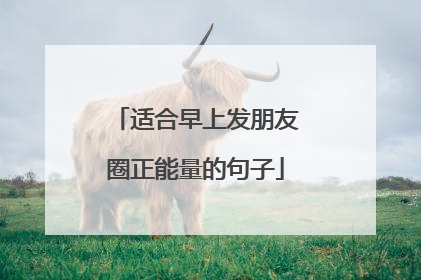 适合早上发朋友圈正能量的句子