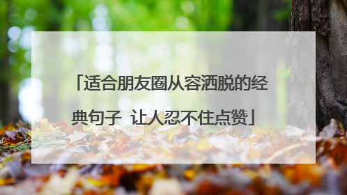 适合朋友圈从容洒脱的经典句子 让人忍不住点赞