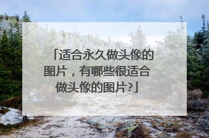 适合永久做头像的图片,有哪些很适合做头像的图片?