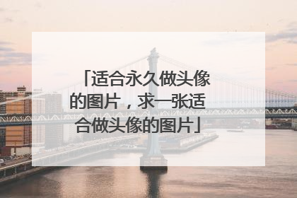 适合永久做头像的图片，求一张适合做头像的图片