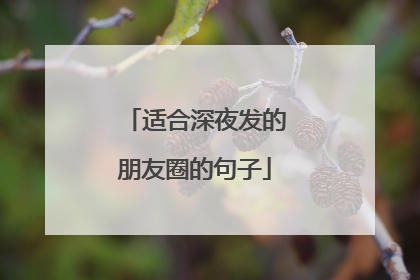 适合深夜发的朋友圈的句子